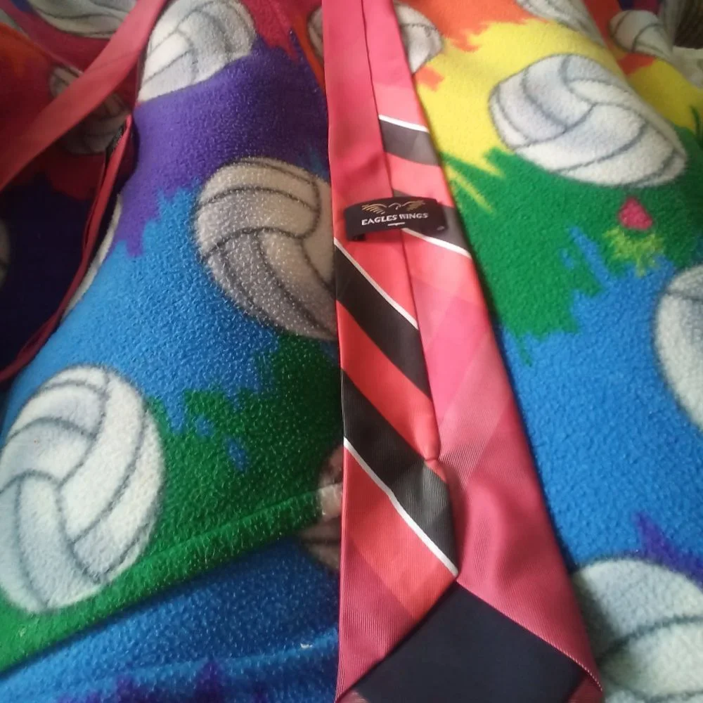 LIKE NEW EAGLES WINGS UGA TIE